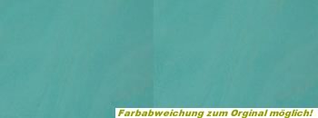 Beizfarbe 2.09u mint