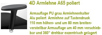 4D Arml. R38 -A65 alu poliert lt. Edition
