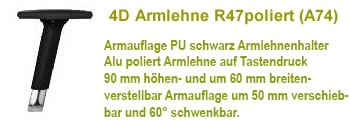 4D Armlehne R47 poliert