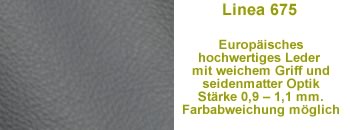 Leder 675