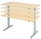 Preview: Elektrisch höhenverstellbarer Schreibtisch WS2