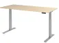 Preview: Elektrisch höhenverstellbarer Schreibtisch WS4