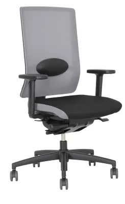 Preview: globline 6 comfort mesh mit lordose drehstuhl.webp