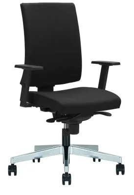 Navigo UPH Basic mit Armlehne höhenverstellbar