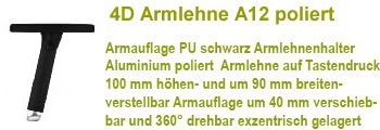 4D Armlehne R37 A12 poliert