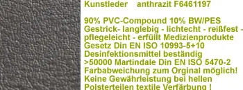 Kunstleder-anthrazit-F6461197