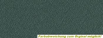 Event Screen 67017 dunkelgrün