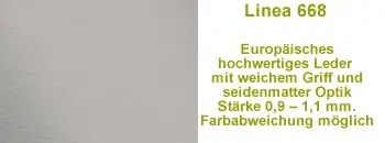 Leder 668