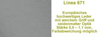 Leder 671