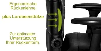 plus Lordosenstütze optimal f. den Rücken