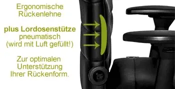 plus pneumatische Lordosenstütze