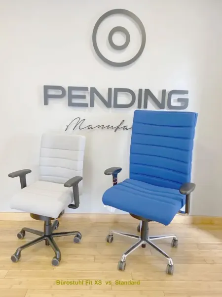 ergonimie design plus vs fit xs buerodrehstuhl.webp
