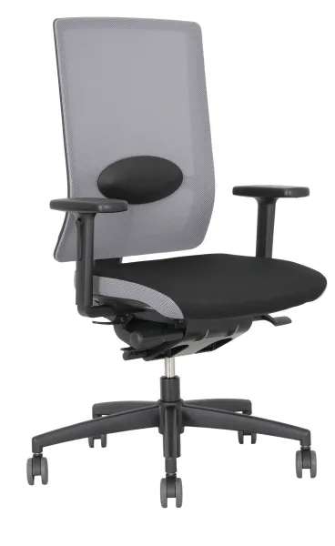 globline 6 comfort mesh mit lordose drehstuhl.webp