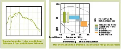 Menschliche Stimme Schalldruckpegel Frequenzbereich