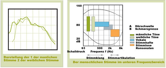 Menschliche Stimme Schall - Schalldruck - Frequenzbereich