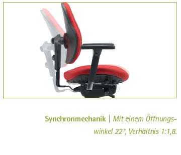 duo-back-12 Synchronmechanik 45