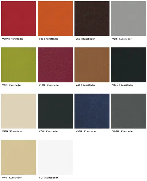 Kunstlederkarte Imitation Leather (V)