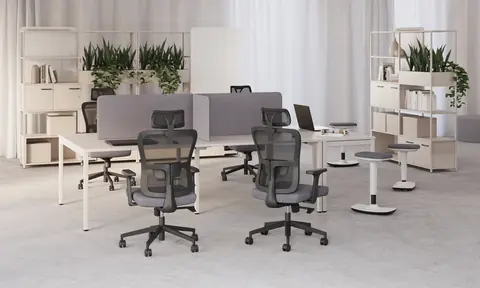 Trofi im Büro