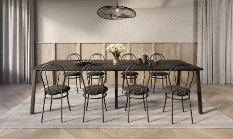 Tulipan Kaffeestühle im Arrangement