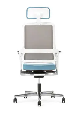 Xilium Mesh Rückansicht